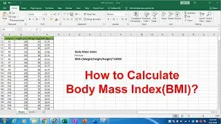 How to Calculate Body Mass Index (BMI) in Excel?