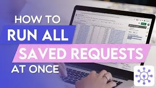 Running All Requests at Once | Apipheny Feature Tutorials