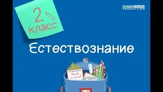 Естествознание. 2 класс. Где узнать про все на свете? /02.09.2020/