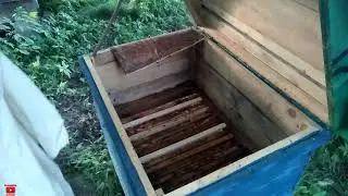 Объединение двух (трех) роёв это просто!!!