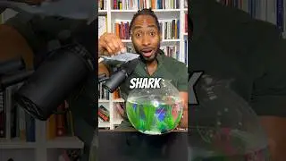 NEVER put a shark in a fishbowl 😮