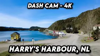 Exploring Harrys Harbour: Newfoundlands Scenic Drive in 4K 🌊🚗✨