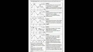 Calculus Graphical Organizer