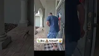 Caught him off guard fr🤣 #iguana #fyp #viral #exotic #dragon #funny #dropshipping #special #delivery