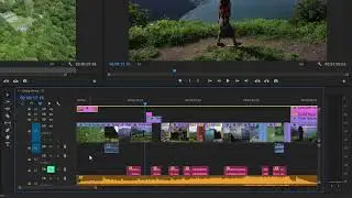 Record a voice over in Adobe Premiere 8.1