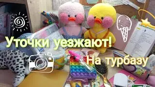 СОБИРАЮ УТОЧЕК В ДОРОГУ💕Милка и Роза/Tanya diy/