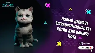 НОВЫЙ ДЕВИАНТ | EXTRADIMENSIONAL CAT | УЮТ В ВАШЕМ ДОМЕ