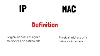 IP Address vs. MAC Address: Understanding the Key Differences| 2023