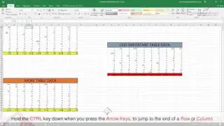 Microsoft Excel 5 Time Saving Tips