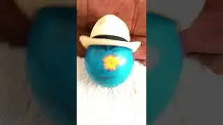 Стоять ковбой 🤠🎈