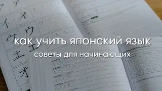 Как учить японский язык. Советы для начинающих. Учебники, сайты, приложения.