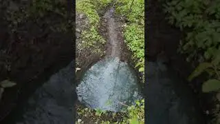 открытие лестных родников