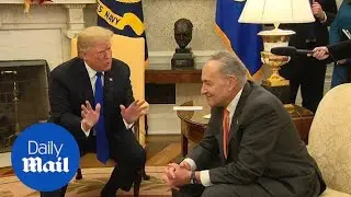 Trump tells Schumer he'll take the blame for government shutdown