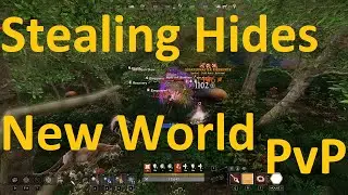 Stealing Hides in New World Cutlass Keys PvP Zone - Healer Void Gauntlet Fresh Wipe Servers