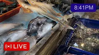 🔴They Eat Baby Shark?!  (Food Tour Phuket Thailand 2023 Patong)