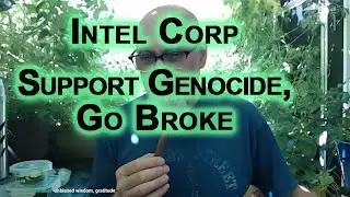 Intel Corp Collapsing Year After Ramping Up Investment in Zionist Israel: Support Genocide, Go Broke