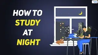 How to Study at Night | Late Night Study Sessions | Early morning vs Late night | Letstute