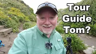 Photographing the Central Coast of California | Landscape and Wildlife Photography