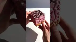 🌑  Мозги на 3D принтере для тех у кого их нет  
