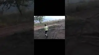Полёты во сне и на яву