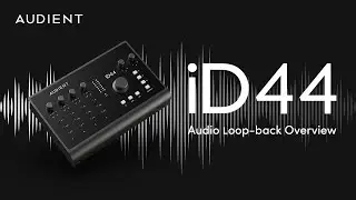 Using Audio Loop-back on Audient iD44 MKII Audio Interface