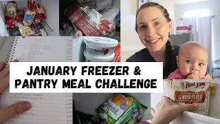 FREEZER AND PANTRY CLEAN OUT CHALLENGE