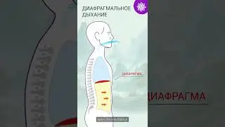 Диафрагмальное дыхание | Волшебная практика для души и тела