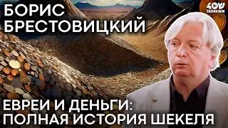 Как Шекели Изменили Историю Денег/ Sheinkin Академия