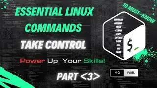 Essential Linux Commands You Need to Know | Part 3