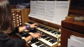 m nyman - time lapse (organ solo)