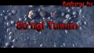 So'nggi Tuxum uzbekcha tarjima multfilmlar Сунги Тухум мульфилмлар узбек тилида 2022 HD