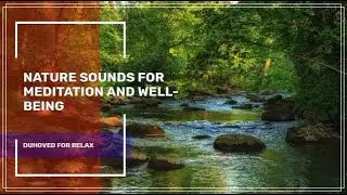 Nature Sounds for Meditation and Well-Being ✦ Relax Sound ✦ Birdsong