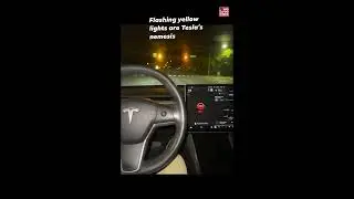 Tesla Reacting At Yellow Lights Flashing! #welovecars #viral