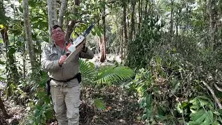 Clearing weed trees.