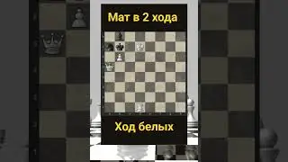 Решение 50 Telegram: Albinachess 