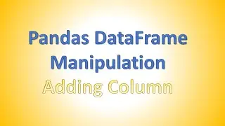 Python Pandas DataFrame | Adding New Column