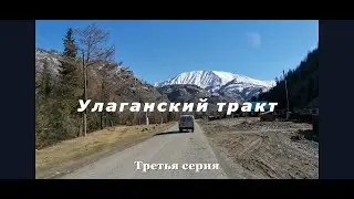 Улаганский тракт - Чулышманская долина - Кату-Ярык - Алтай - 2021 год.