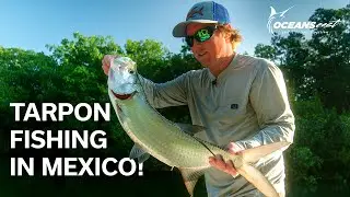 Tarpon Fishing Mexico! (Flats Fishing On Light Tackle)