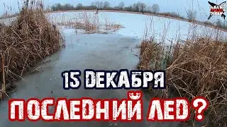 ДЕКАБРЬ 2019 - ПОСЛЕДНИЙ ЛЕД? НАШЛИ МОРЕ ПЛОТВЫ и ОКУНЯ. Ситуация со льдом на прудах Подмосковья.