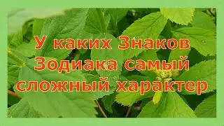 У КАКИХ ЗНАКОВ ЗОДИАКА СЛОЖНЫЙ ХАРАКТЕР?!