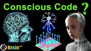 Consciousness And a Puzzle Game