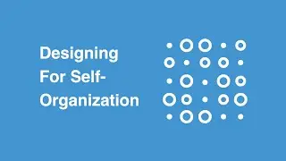 10. Designing For Self-Organization