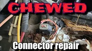 Repair injector connectors chewed by rats