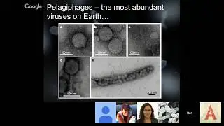 Ben Temperton: Sequencing the smallest elephant in the room