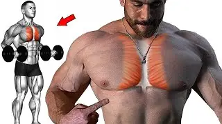 Chest workout : How to Make the inner chest line chiseled