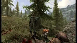 Pets Of Skyrim Fox location - The Elder Scrolls V: Skyrim Anniversary Edition