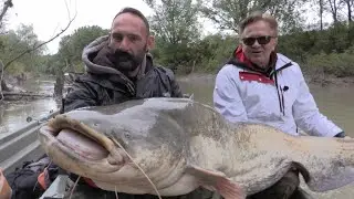 Huge Catfish VS small Spinning Rod by Catfish World