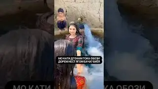 Обози кадестем