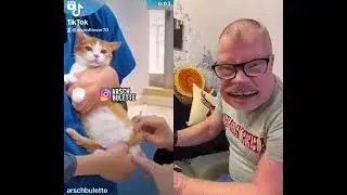 #Duett mit @kasten_brause WALTER&ME 😆 BEREIT ? #djsunflower #comedy #catsoftiktok