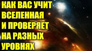 ПРАВИЛО ТРЁХ СИГНАЛОВ - КАК ВАС УЧИТ ВСЕЛЕННАЯ!